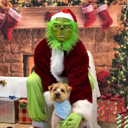 Archie with The Grinch at Hanover Park Animal Care Center